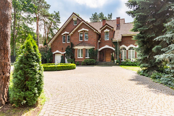 Best Professional Driveway Pavers  in Alexander, AR